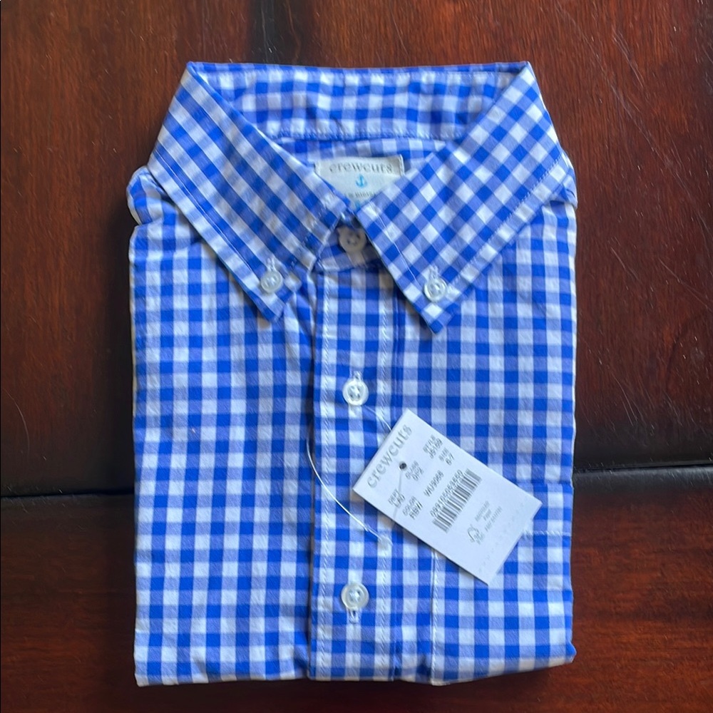 Crewcuts Blue Casual Gingham Button Down Shirt